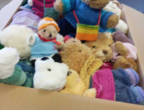 371 Teddy Bears leave for Cape Town