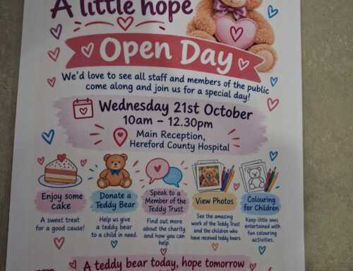A teddy, a treat, a little hope